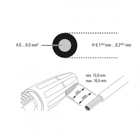 Conector compatible MC4 hembra positivo Push-In 4-6 mm² Weidmüller PV-STICK+ VPE10 